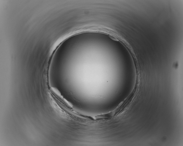 X0000113331530200909211208