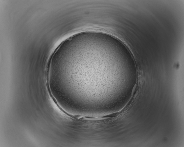 X0000113331531200909211208