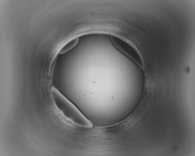 X0000113331532200909211208