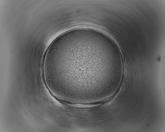 X0000113331533200909211208