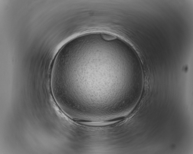 X0000113331534200909211208