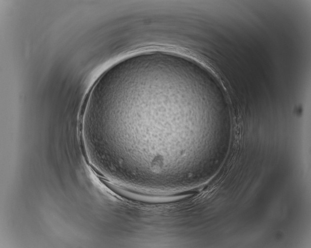 X0000113331535200909211208