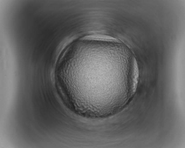 X0000113330002200909281237