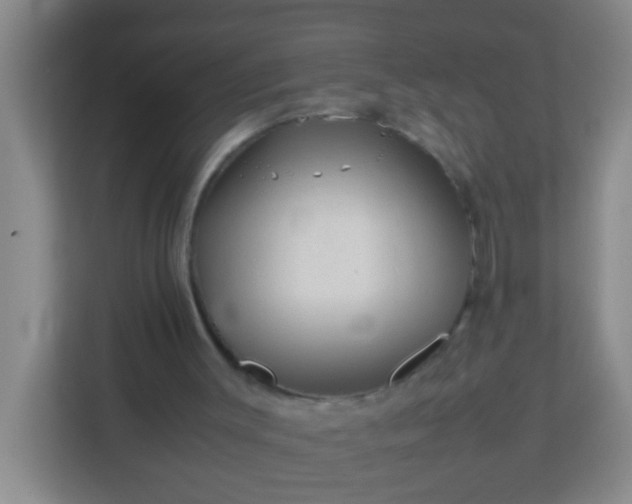 X0000113330003200909281237