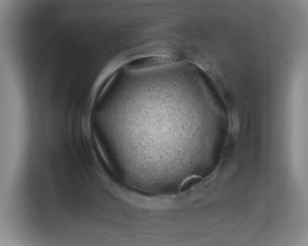 X0000113330004200909281237