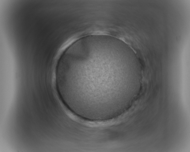 X0000113330005200909281237