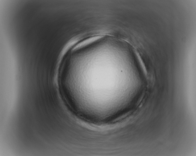 X0000113330006200909281237