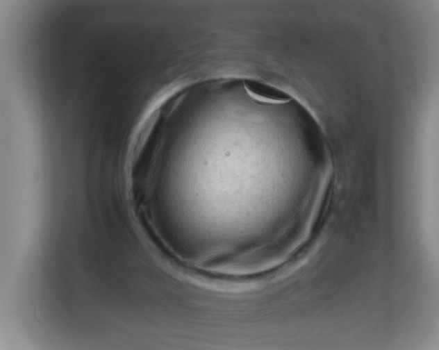X0000113330008200909281237
