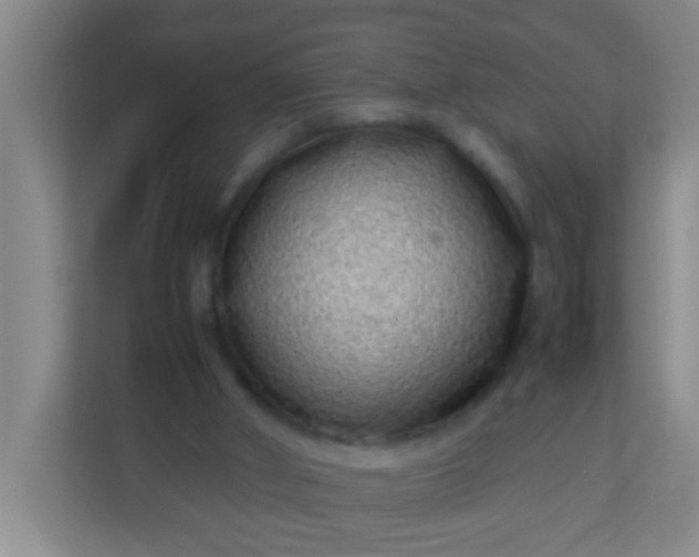 X0000113330010200909281237