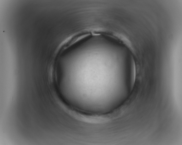 X0000113330012200909281237