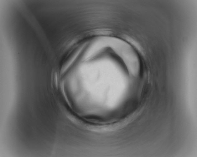 X0000113330013200909281237