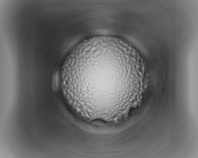 X0000113330014200909281237