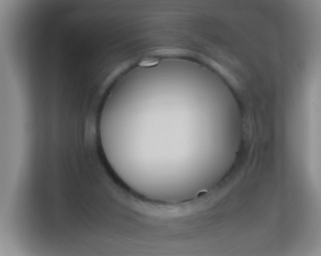 X0000113330015200909281237
