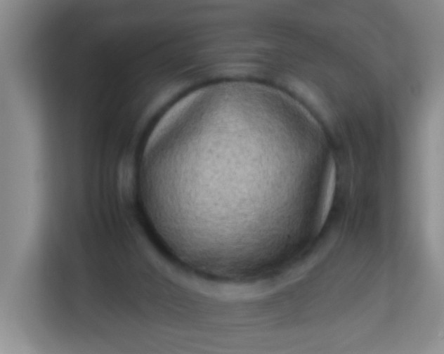 X0000113330016200909281237