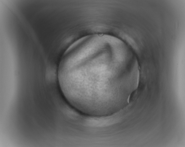 X0000113330017200909281237