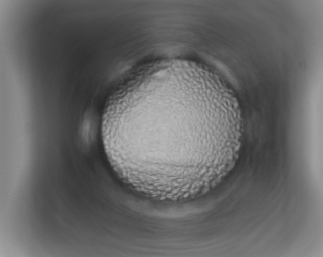 X0000113330018200909281237
