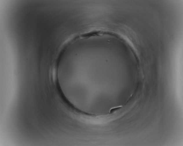 X0000113330019200909281236