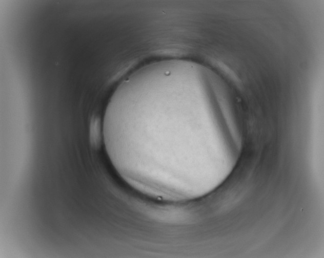 X0000113330020200909281236