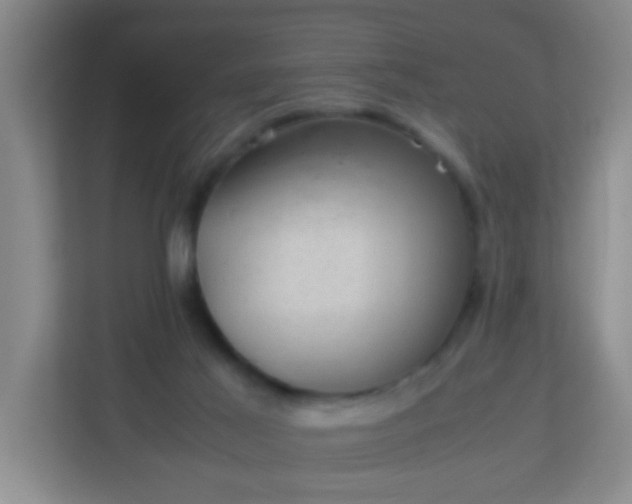 X0000113330021200909281236