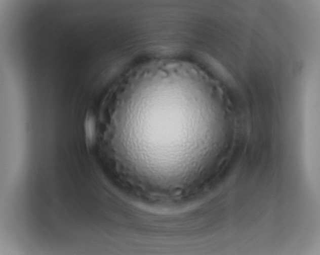 X0000113330022200909281236