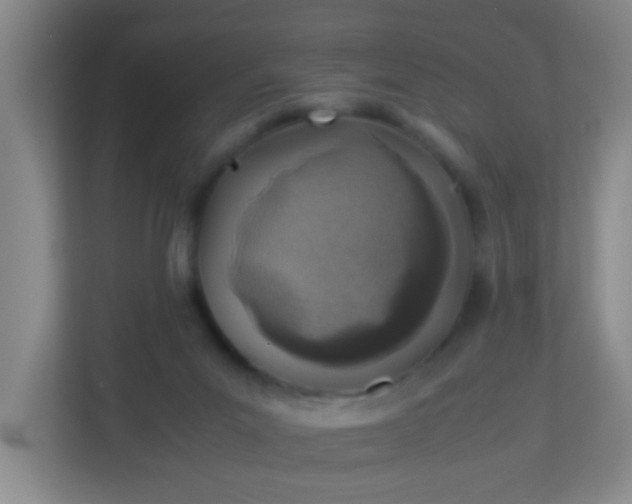 X0000113330023200909281236
