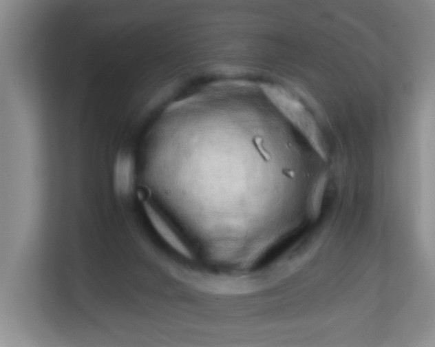 X0000113330024200909281236