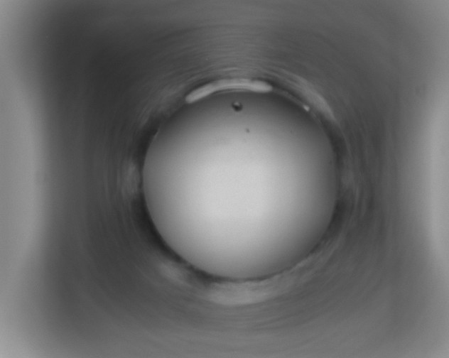 X0000113330025200909281236