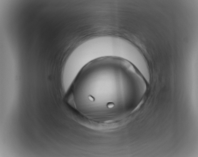 X0000113330027200909281236
