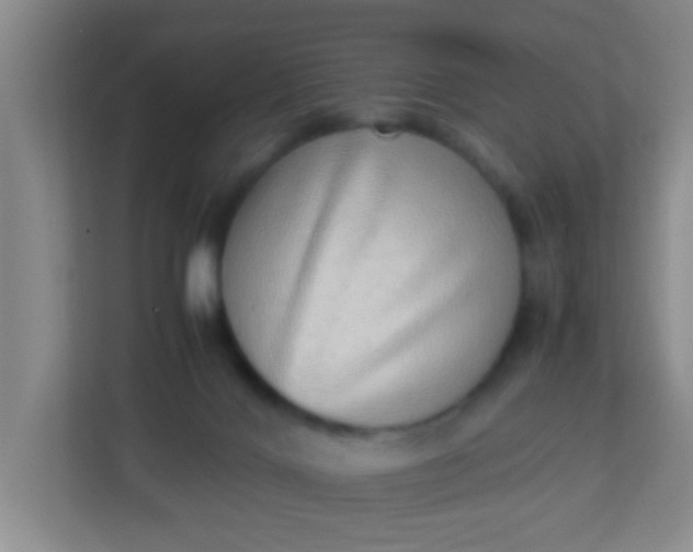 X0000113330028200909281236