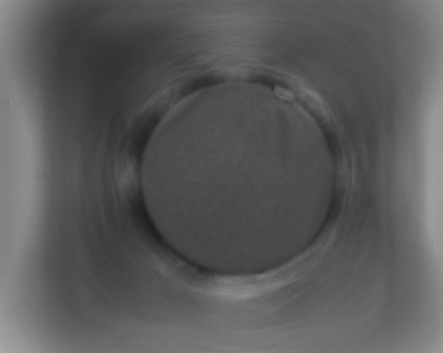 X0000113330029200909281236
