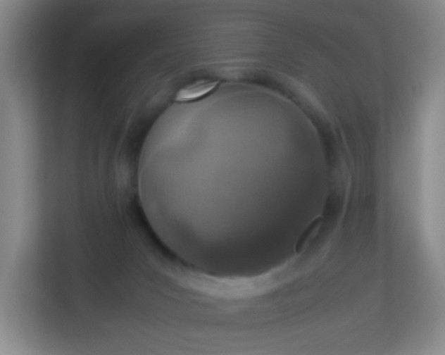 X0000113330031200909281236