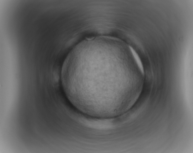 X0000113330032200909281236
