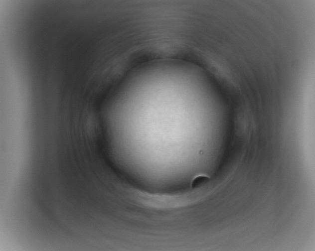 X0000113330034200909281236