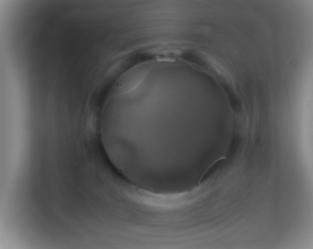 X0000113330035200909281236