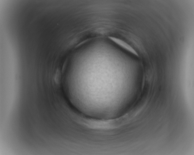 X0000113330036200909281236