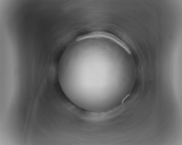 X0000113330037200909281236