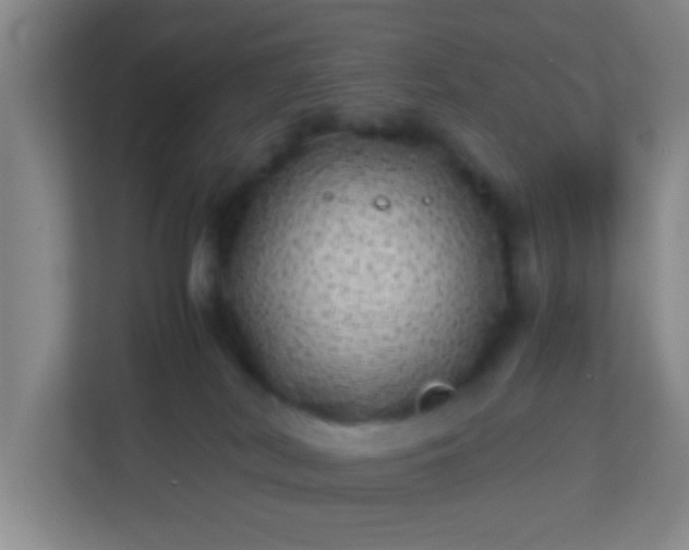 X0000113330038200909281236