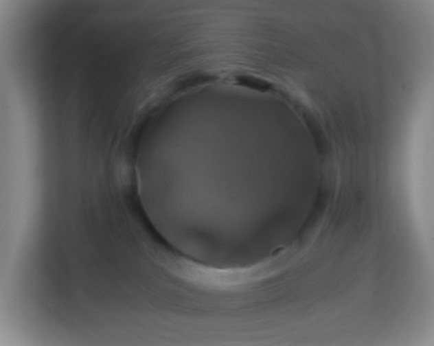 X0000113330039200909281236