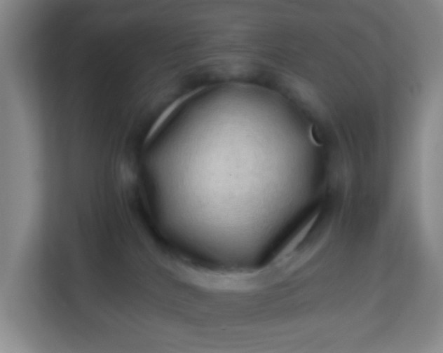 X0000113330040200909281236