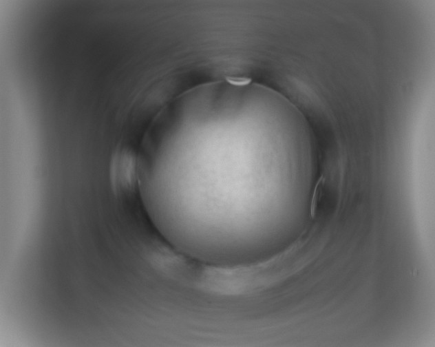 X0000113330041200909281236