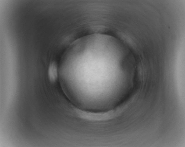 X0000113330042200909281236