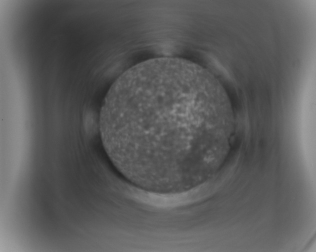 X0000113330043200909281236