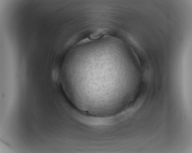X0000113330044200909281236