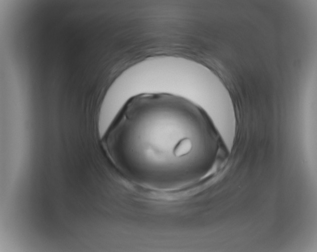 X0000113330045200909281236