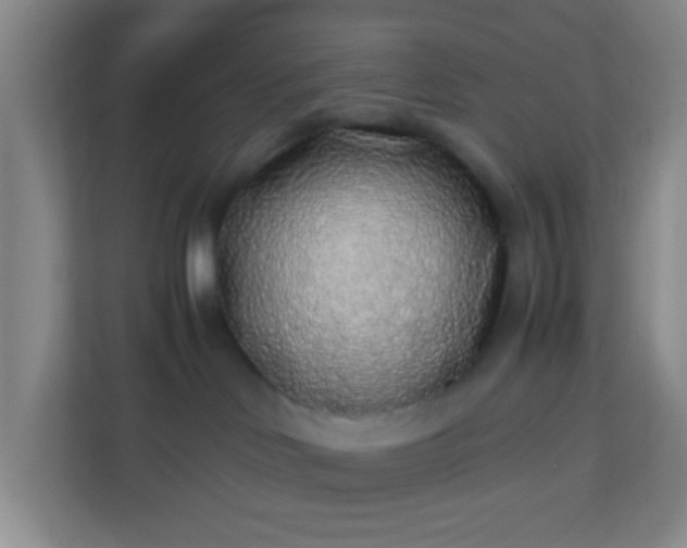 X0000113330046200909281236