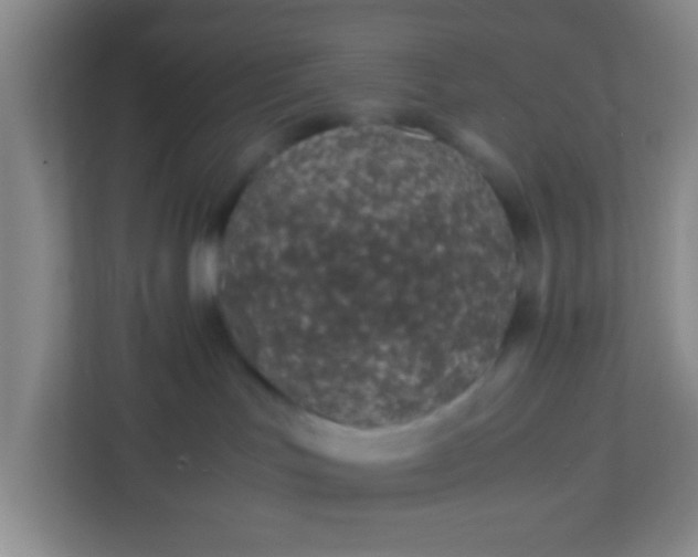 X0000113330047200909281236