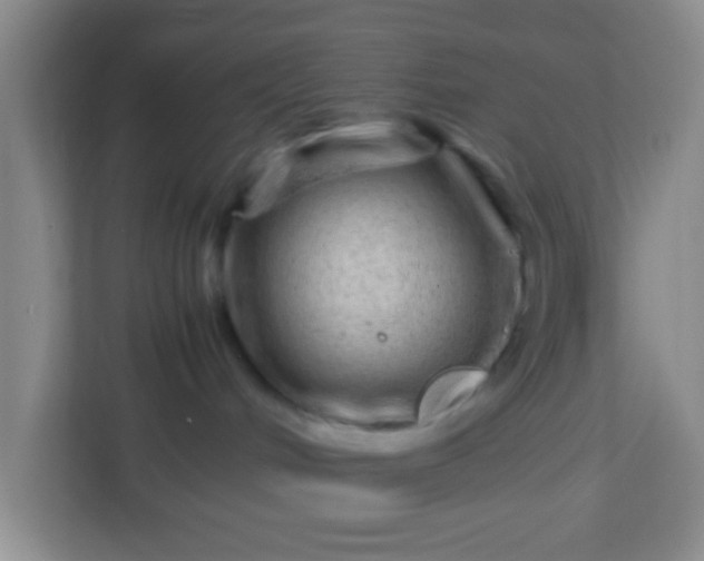 X0000113330048200909281236