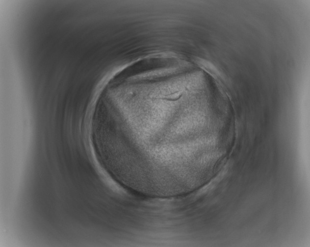 X0000113330049200909281235