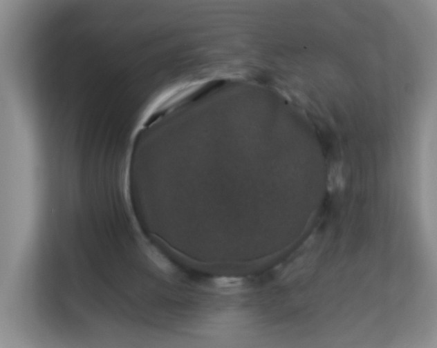 X0000113330052200909281236
