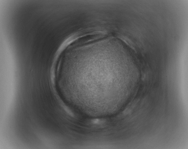 X0000113330053200909281236